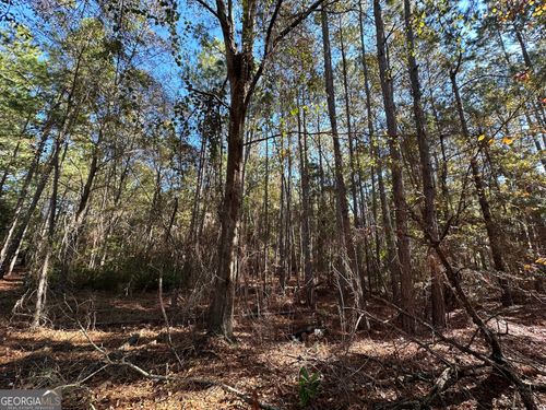 LOT 22 Cochran Hwy, Eastman, GA, 31023 | Card Image