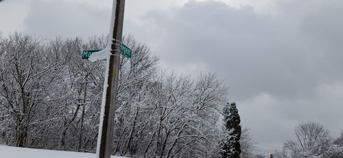 14405 Manning St, Detroit, MI, 48205-1835 | Card Image