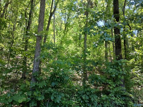 386 Creekview Dr, Rainbow City, AL, 35906 | Card Image