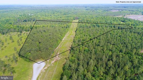 13251 Brooke Ridge Ln, SPOTSYLVANIA, VA, 22551-6614 | Card Image