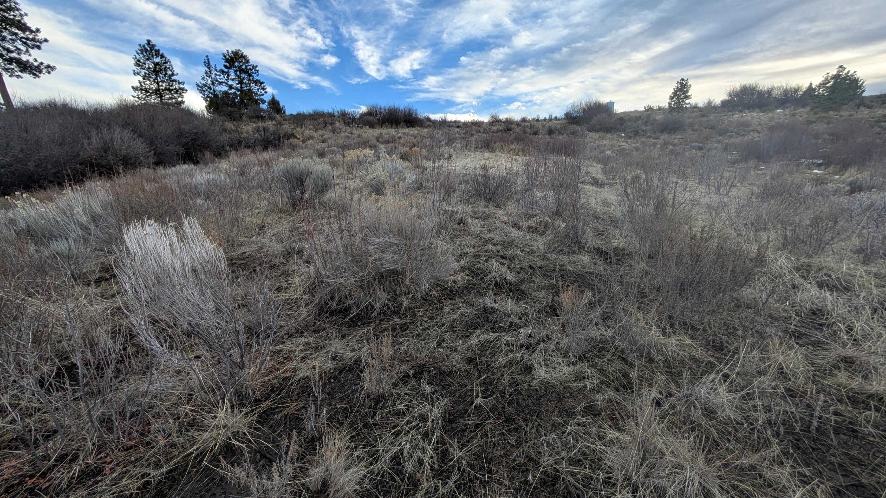 Land in Chiloquin 2