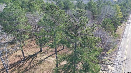 TBD Texas Forest Trl, Kennard, TX, 75847 | Card Image