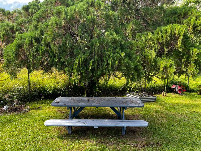 15-376 Puni Makai Loop S, House other with 3 bedrooms, 2 bathrooms and null parking in PAHOA HI | Image 22