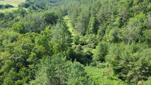 0000 Skiparee Rd, North Pownal, VT, 05260 | Card Image