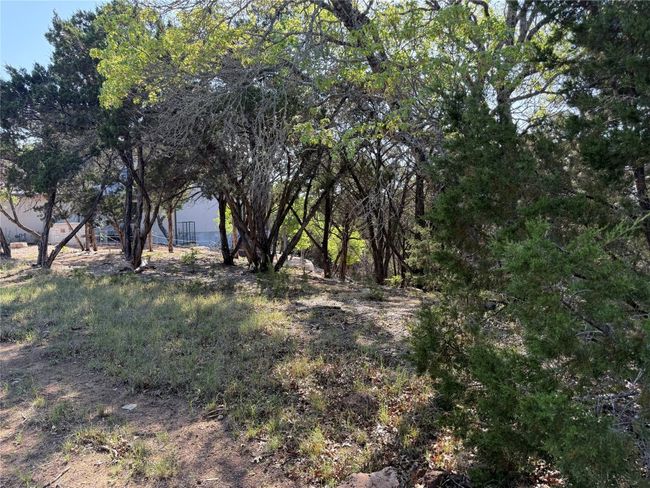 View of local wilderness | Image 11