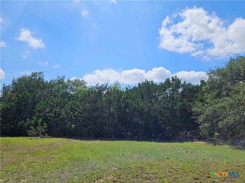 LOT 14 Cielo Springs Dr, Blanco, TX, 78606 | Card Image