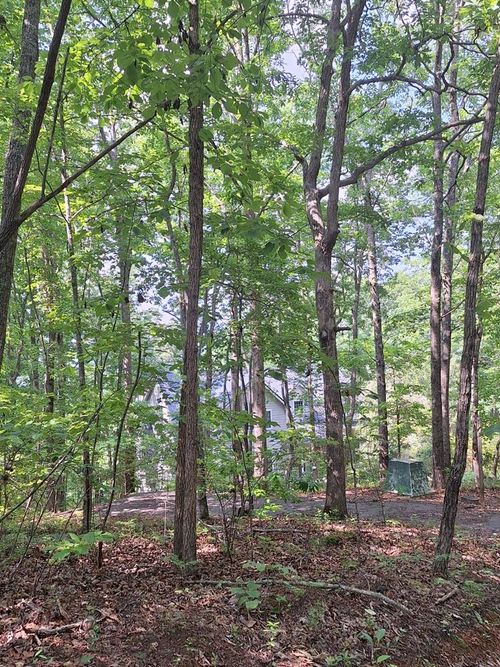 0 Sunrock Mountain Rd, Blue Ridge, GA, 30513 | Card Image