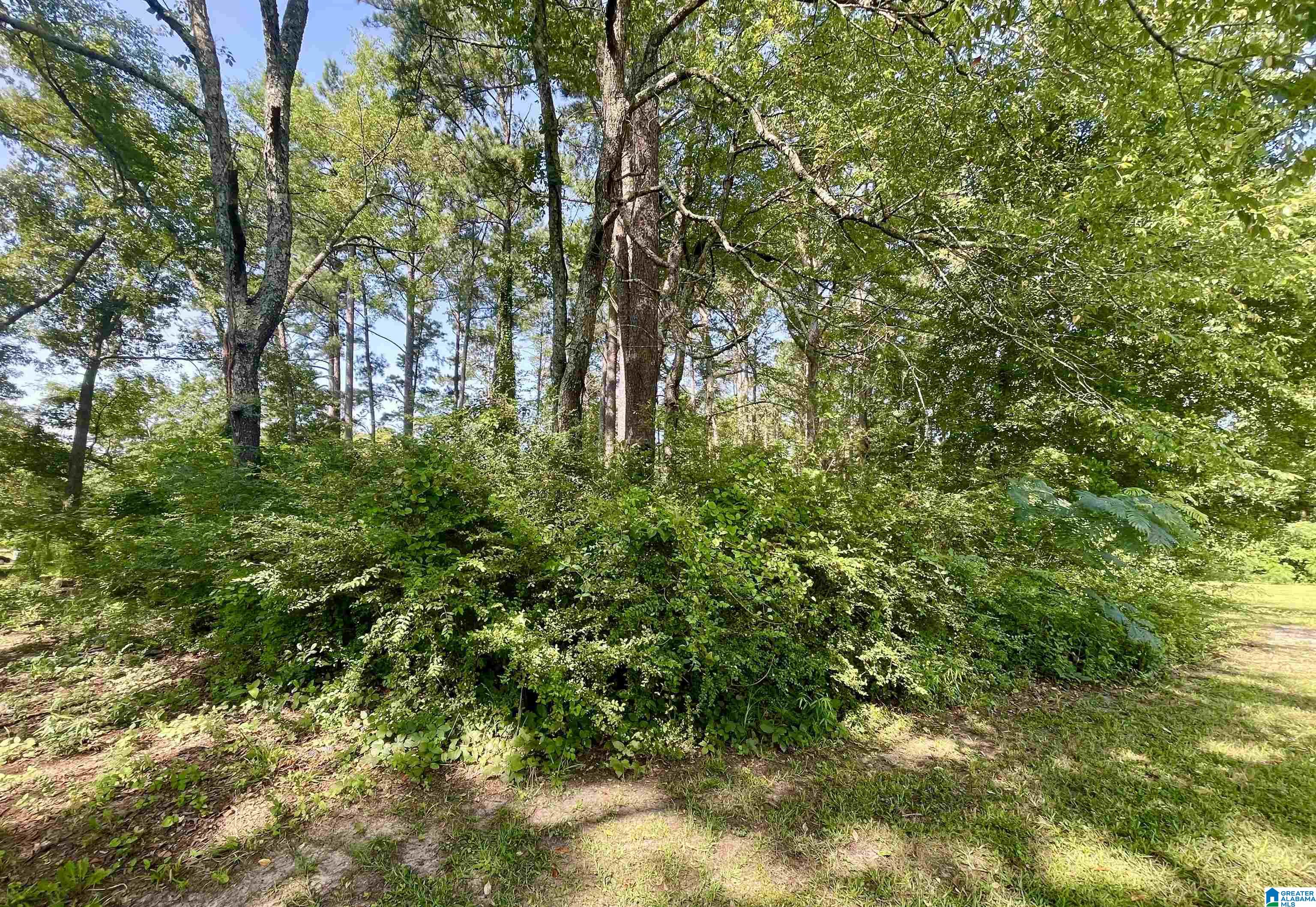 Land in GARDENDALE 2