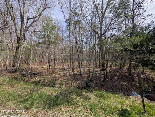 146 Darwin Ln, Crossville, TN, 38558 | Card Image