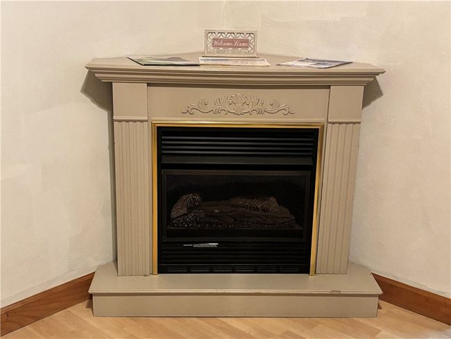 Gas fireplace in the entry room | Image 13