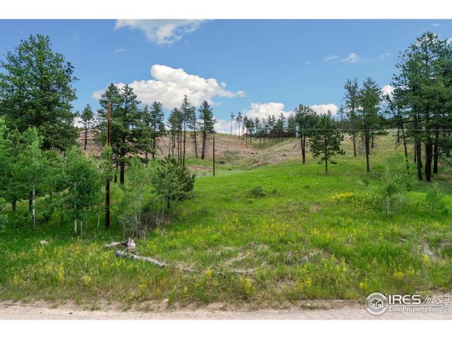620 Davis Ranch Rd, House other with 3 bedrooms, 4 bathrooms and null parking in Bellvue CO | Image 10
