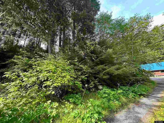 100 Yakobi Way, Home with 0 bedrooms, 0 bathrooms and null parking in Sitka AK | Image 6