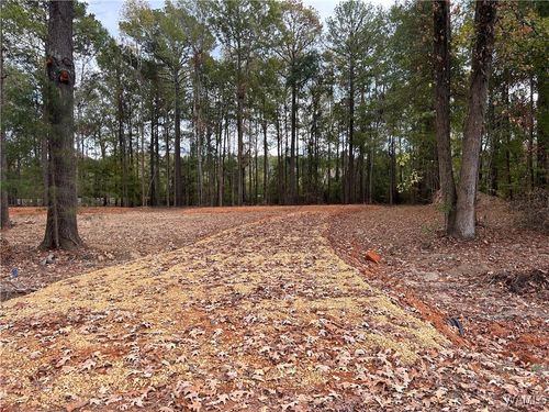 259 Pinecrest Ln, Pickensville, AL, 35447-4146 | Card Image