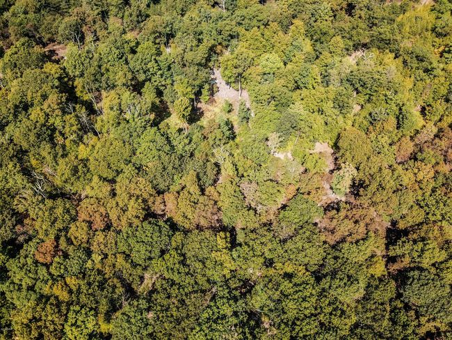 Birds Eye Drone | Image 13
