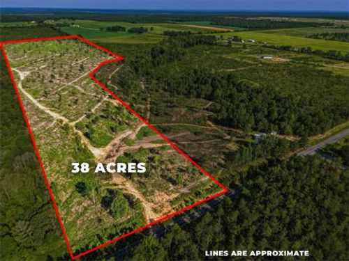38 ACRES N Ga Highway 0240 Conn, Mauk, GA, 31058 | Card Image
