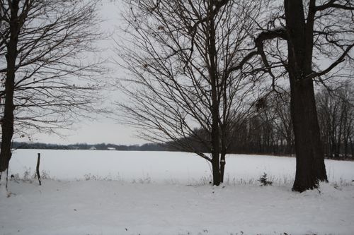 8016 E Xy Ave, Vicksburg, MI, 49097-9594 | Card Image