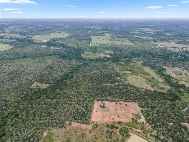 Drone / aerial view | Image 7