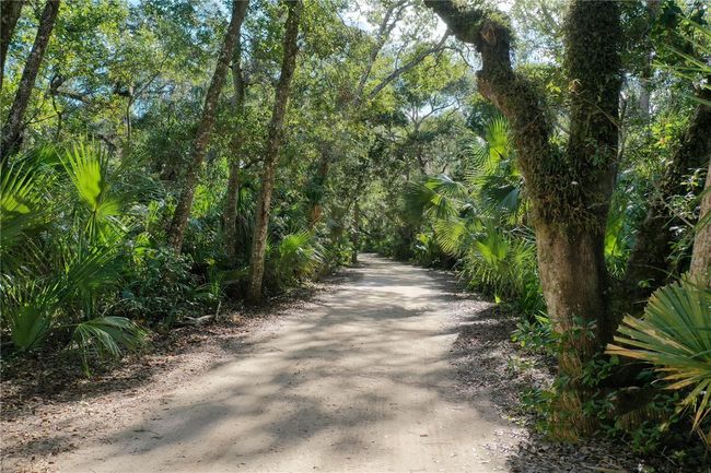 Walkway to the Intracoastal Boat Dock and Kayaks | Image 79