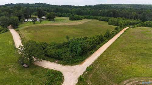 17 County Road 865, Collinsville, AL, 35961 | Card Image