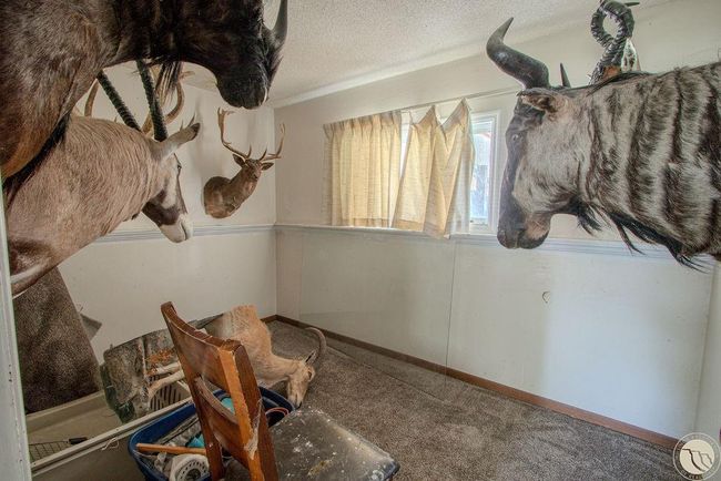 510 Declaration Ave, House other with 4 bedrooms, 2 bathrooms and null parking in Billings MT | Image 11
