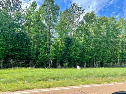 LOT 3 Hwy 24, Centreville, MS, 39631 | Card Image