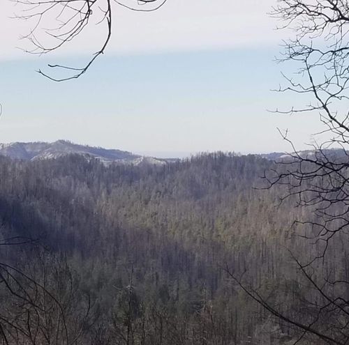 20604 Little Basin Rd, Boulder Creek, CA, 95006-9052 | Card Image