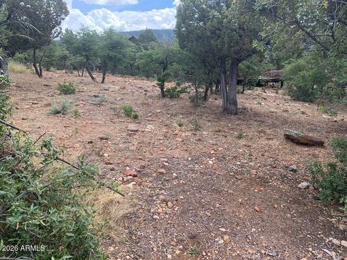 164-164 Ruin Hill Loop, Pine, AZ, 85544 | Card Image