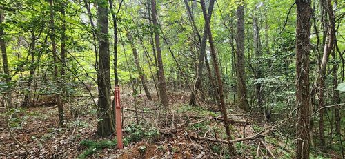 Lot 44 Old Mill Pond Rd, Mineral Bluff, GA, 30559-7564 | Card Image