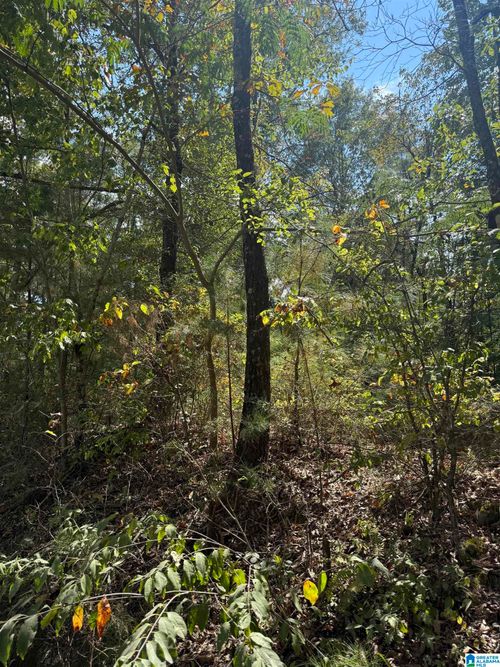 47-Lot 47 County Road 264, Wedowee, AL, 36278 | Card Image