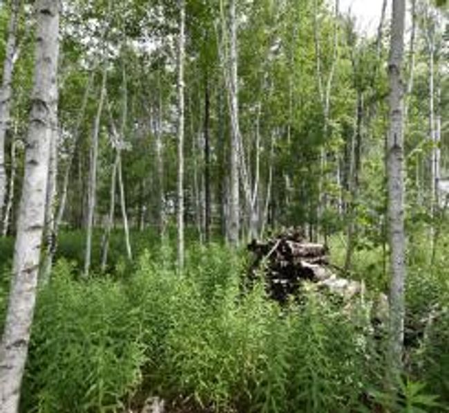 18625 Skunk Lake Rd, House other with 1 bedrooms, 0 bathrooms and null parking in SANDSTONE MN | Image 17