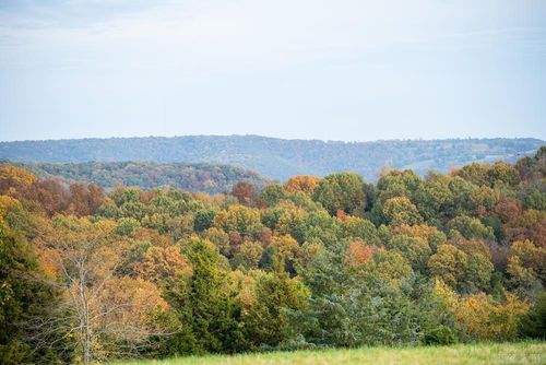 n/a County Road 663, Oak Grove, AR, 72660 | Card Image