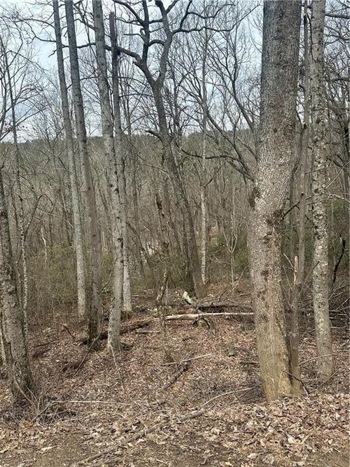 0 Mulberry Cir, Jasper, GA, 30143 | Card Image