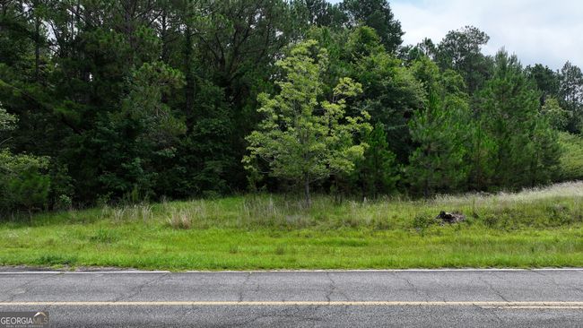 0 Boiling Springs Rd, Home with 0 bedrooms, 0 bathrooms and null parking in Soperton GA | Image 17