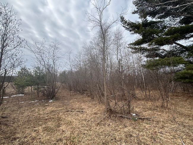 12 N Oak Ave, Home with 0 bedrooms, 0 bathrooms and null parking in Paris MI | Image 17