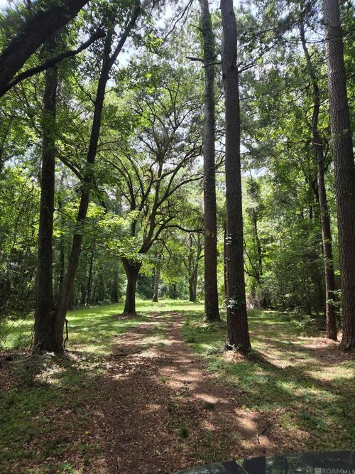TBD Blackmore Rd, St Francisville, LA, 70775 | Card Image