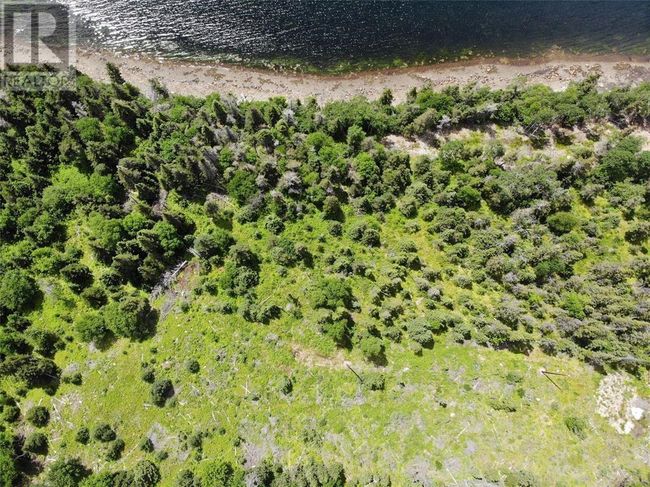 LOT 16 Random Brook Road, Home with 0 bedrooms, 0 bathrooms and null parking in RANDOM ISLAND NL | Image 10