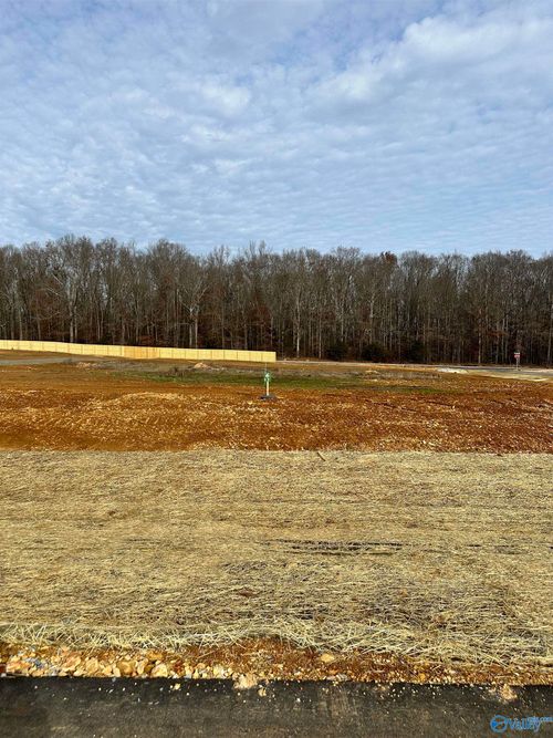 Lot 1 Saban Ln, Athens, AL, 35613 | Card Image