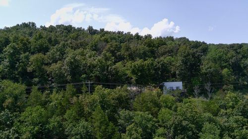 109 Cottage Ln, Cape Fair, MO, 65624 | Card Image