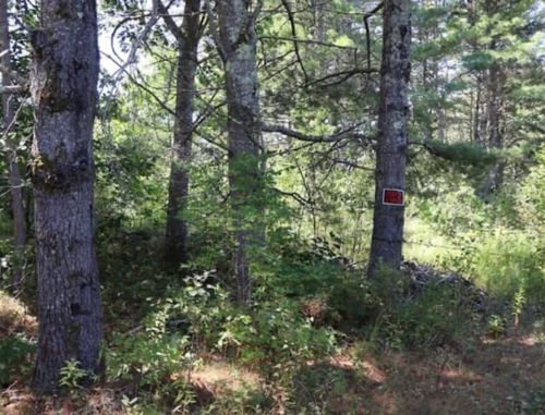 0 Beechwood Street, Warren, ME, 04864 | Card Image