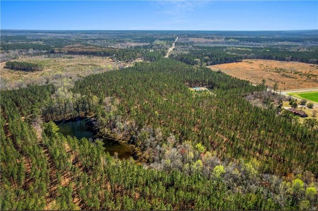 0 Hamburg State Park Rd, Home with 0 bedrooms, 0 bathrooms and null parking in Warthen GA | Image 5