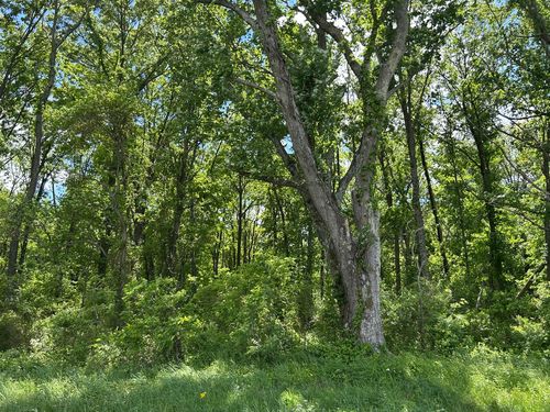 TBD Akin Blacktop, Benton, IL, 62812 | Card Image