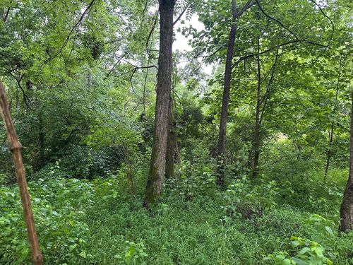 3 Sawmill Rd, Palmer, TN, 37365 | Card Image