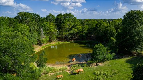 TBD Fm 2104, Smithville, TX, 78957 | Card Image