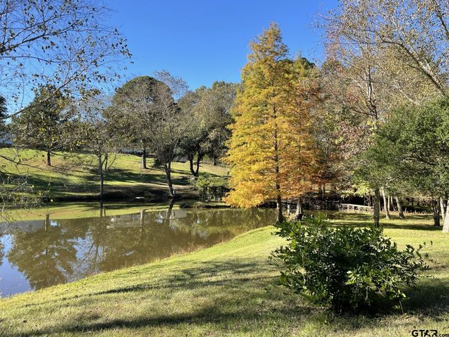 22233 County Road 223, House other with 4 bedrooms, 3 bathrooms and null parking in Arp TX | Image 8