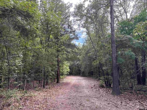 22417 County Road 455, Mineola, TX, 75773-9807 | Card Image