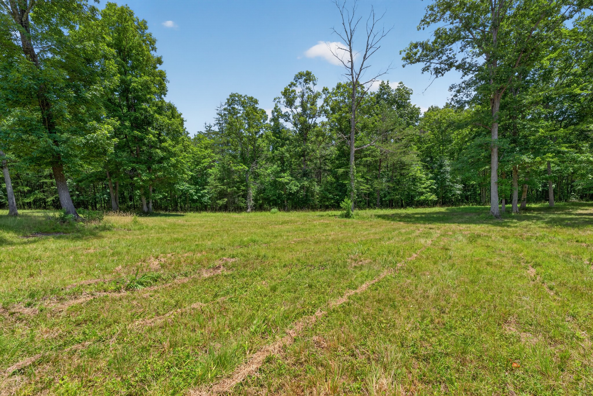 Land in Monteagle 4