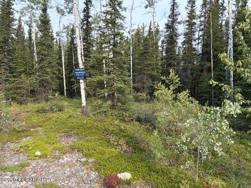 Lot 4 Butch Kuth Ave, Tok, AK, 99780 | Card Image