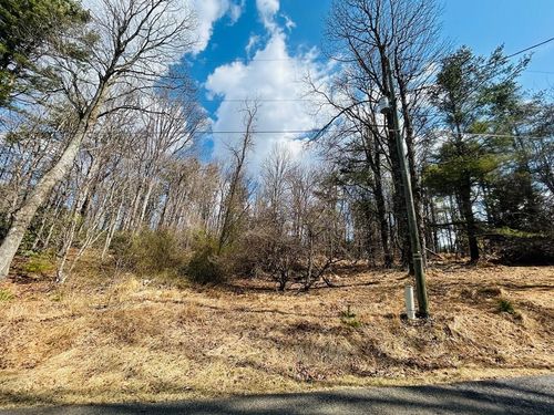 TBD Old Hollow Trail, Fancy Gap, VA, 24328 | Card Image