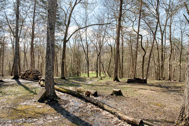 1014 Old Mill Stream Ln, House other with 5 bedrooms, 4 bathrooms and null parking in Shepherdsville KY | Image 44