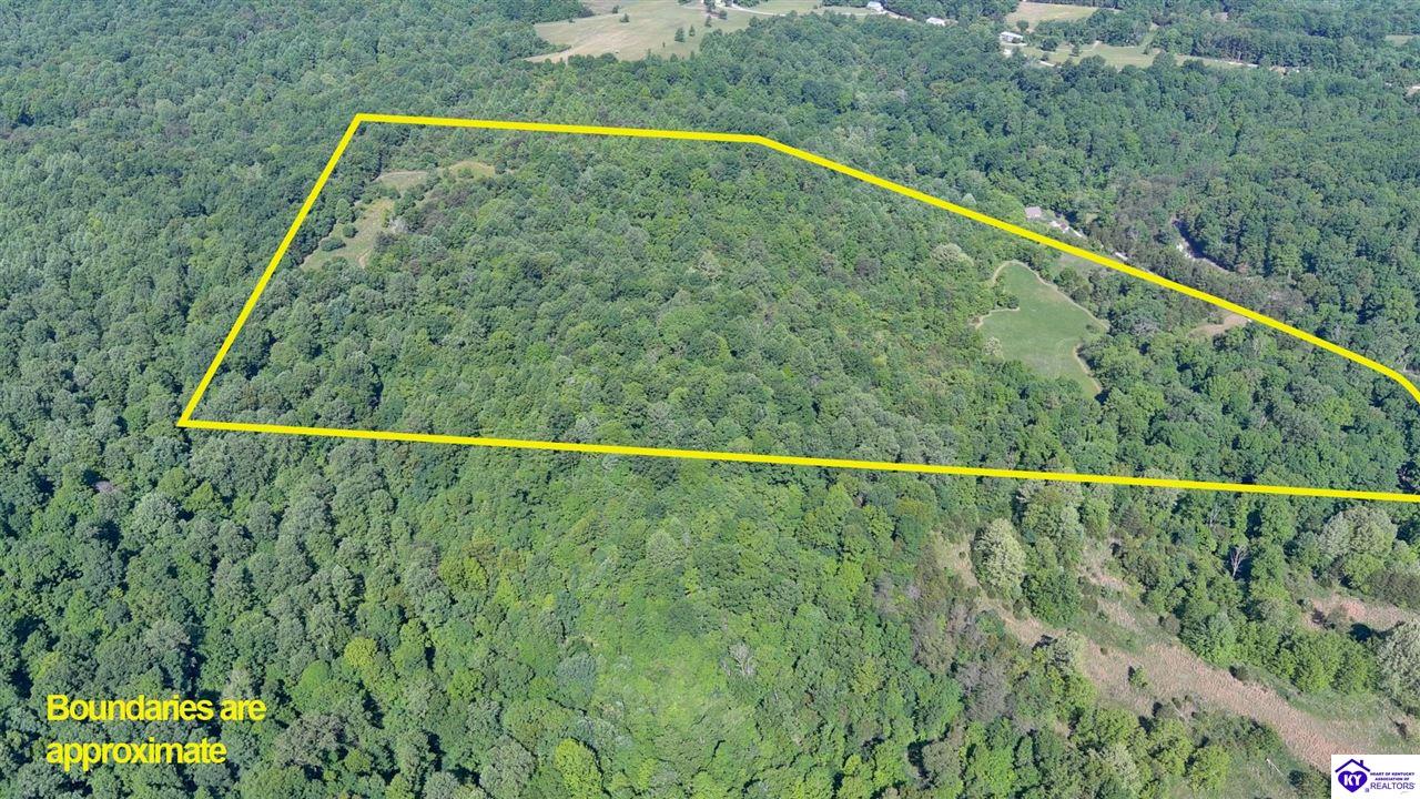 Land in Bonnieville 4